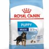 Royal Canin Maxi Puppy Food, 220 Grams, Dry Food, Supports Immune System & Digestive Health, Provides Long Growth, Moderate Energy