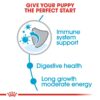Royal Canin Maxi Puppy Food, 220 Grams, Dry Food, Supports Immune System & Digestive Health, Provides Long Growth, Moderate Energy