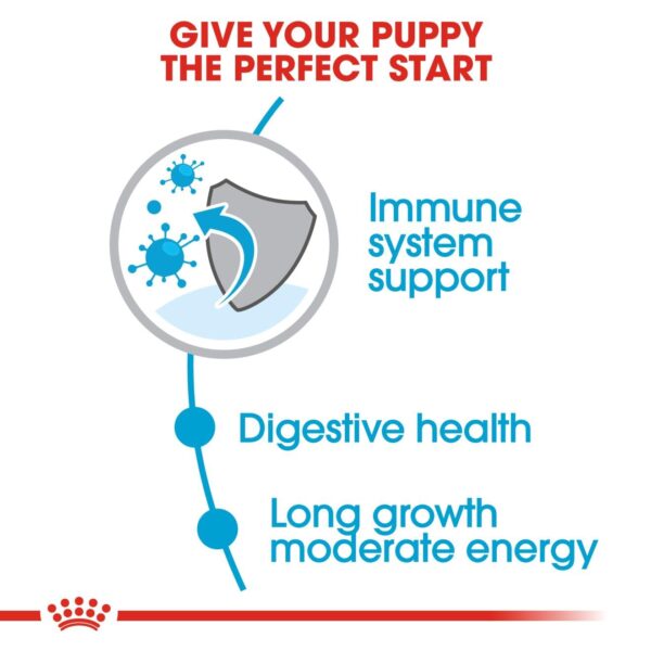 Royal Canin Maxi Puppy Food, 220 Grams, Dry Food, Supports Immune System & Digestive Health, Provides Long Growth, Moderate Energy