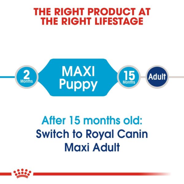 Royal Canin Maxi Puppy Food, 220 Grams, Dry Food, Supports Immune System & Digestive Health, Provides Long Growth, Moderate Energy