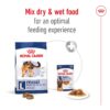 Royal Canin Maxi Adult Dog Food, 220 Grams, Dry Food, Supports Digestive Health & Optimal Health, Provides Bone & Joint Support