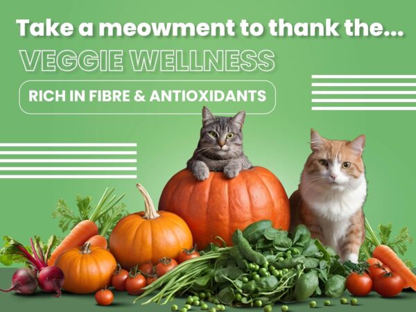 1763735685_81ffdcQJ-zL._SL1500_.jpg BARK OUT LOUD - Premium Cat Dry Food | Fresh Salmon & Chicken | Hairball Control | Added Taurine |Omega Fatty Acids | Probiotivs -No Preservaties - Kibbles for Adult Cat 300 gm
