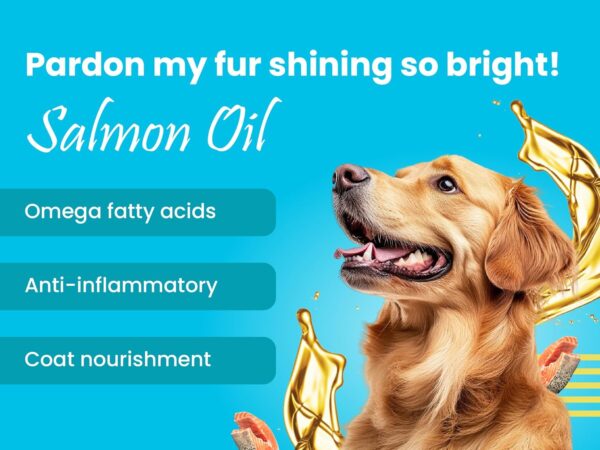 Bark Out Loud Wet Dog Food Chunks | Chicken & Tuna Gravy Food for Adult Dogs | Grain-Free, Pea Protein with Omega Fatty Acids | Healthy & Tasty Meal for Dogs | 85 g (Pack of 12)