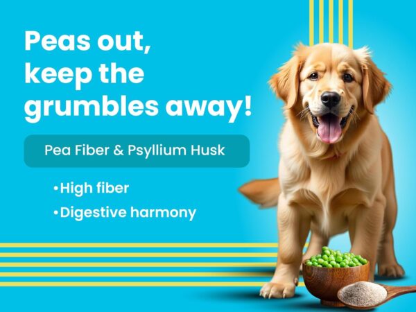 Bark Out Loud Wet Dog Food Chunks | Chicken & Tuna Gravy Food for Adult Dogs | Grain-Free, Pea Protein with Omega Fatty Acids | Healthy & Tasty Meal for Dogs | 85 g (Pack of 12)