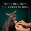 Sheba Melty Premium Lickable Creamy Cat Treats, Sasami Selection Chicken & Chicken & Whitefish Flavors, 4 Packs x 12g, (48g) Creamy Treats for Bonding, All Life Stages