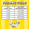 Temptations Crunchy Cat Treats, Tempting Tuna Flavour, 85 g, Goodness of Protein, Vitamins & Minerals, Soft Inside Crunchy Outside, Adult, Pebbles
