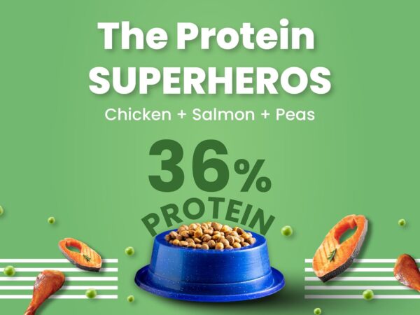 1763771593_71-DmUCgqbL._SL1500_.jpg Bark Out Loud by Vivaldis - Kitten Dry Cat Food Chicken & Salmon 300 gm, Protein-Packed Immunity, Growth & Development Booster, contributes to Healthy Heart, Skin, Coat and Eye.