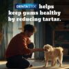 1763830105_71oHG3b-fJL._SL1200_.jpg Pedigree Dentastix Oral Care Dog Treat, Adult Large Breed (25+ kg), 270 g, Recommended by Vets, Supports Gum Health, Reduces Risk of Gum diseases