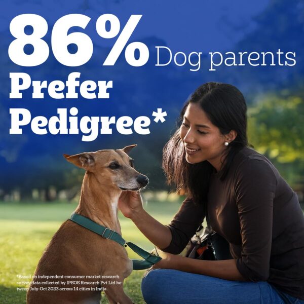 1763830117_713OkP0ax1L._SL1200_.jpg Pedigree Dentastix Oral Care Dog Treat, Adult Large Breed (25+ kg), 270 g, Recommended by Vets, Supports Gum Health, Reduces Risk of Gum diseases