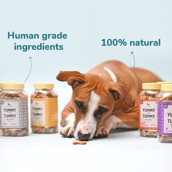 Heads Up For Tails Yummy in My Tummy Chicken Dog Biscuits for Adult Dog & Puppy - 320g | All Life Stages, Dog Treats, Crunchy Dog Biscuits | Made with Real Chicken