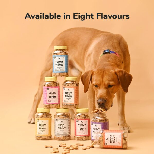 Heads Up For Tails Yummy in My Tummy Chicken Dog Biscuits for Adult Dog & Puppy - 320g | All Life Stages, Dog Treats, Crunchy Dog Biscuits | Made with Real Chicken