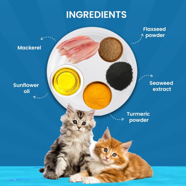 1763890119_71JRxxMP8oL._SL1500_.jpg Goofy Tails Wet Cat Food and Kitten Food 3 Combo, 1050g (15 Pouches x 70g), Tuna and Anchovies, Mackerel and Seaweed, Chicken and Flaxseeds, Preservative Free, Wholesome, Natural Cat Wet Food