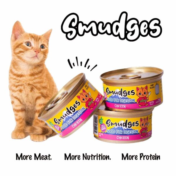 Smudges Kitten Salmon Pate Mixed with Shredded Chicken 60g