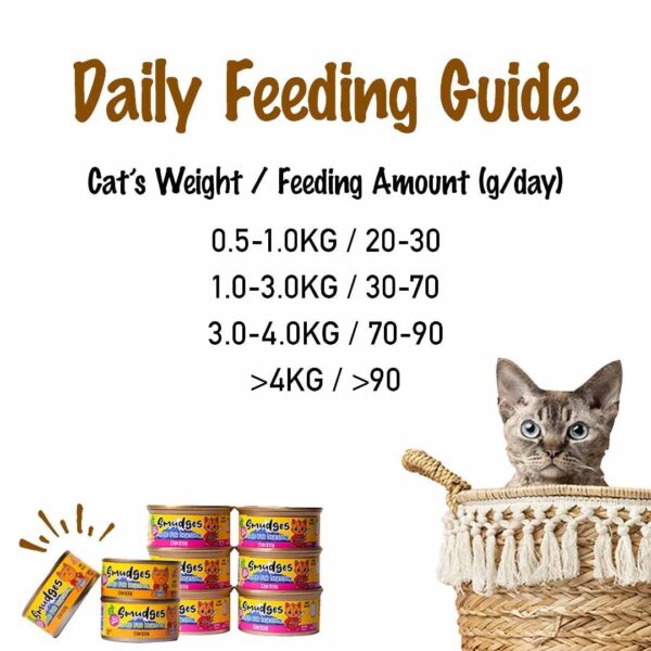 Smudges Kitten Salmon Pate Mixed with Shredded Chicken 60g