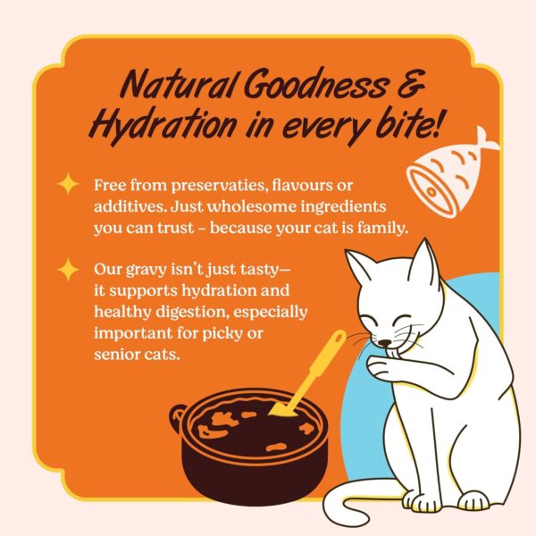 Kennel Kitchen Grain Free Wet Cat Food for Adults and Kittens, Gravy Pet Food for Cats No Artificial Flavors, Colors or Preservatives, 4 Pouches (4 x 80 GMS)