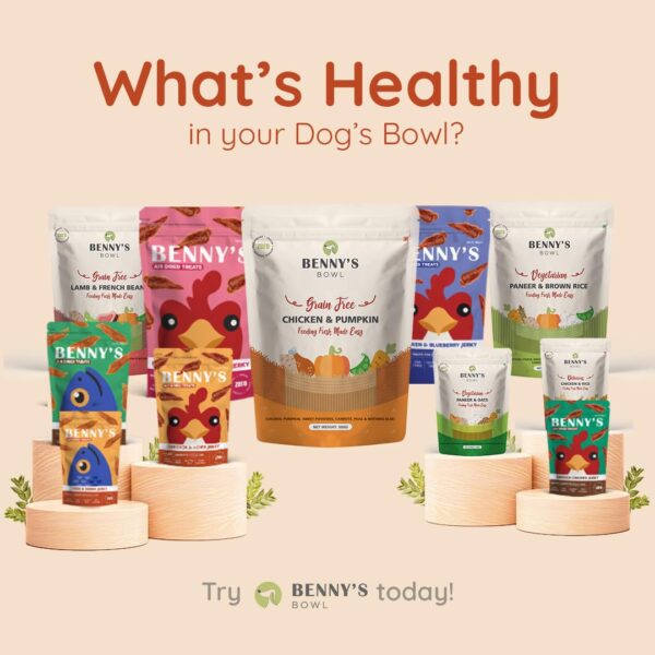 1763931186_61qv-pcqOL._SL1080_.jpg Benny's Bowl Fresh & Wet Dog Food - Lamb and French Beans - 15 Packs x 100 G |, Human-Grade, Gently Cooked | Natural Wet Food for Dogs,All Life Stages