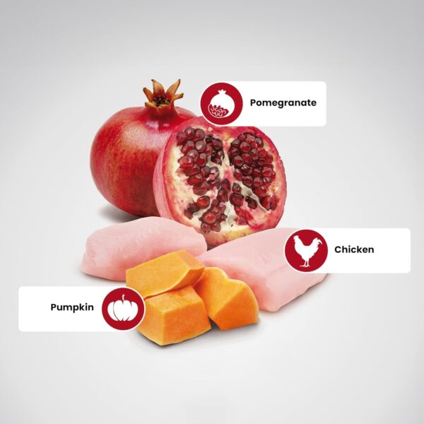 1763976312_71-c1Erog5L._SL1500_.jpg Farmina N&D Pumpkin Adult Medium/Maxi Dog Food | Chicken, Pomegranate & Pumpkin |Rich in Anti-oxidants| Complete Food for Adult Dogs | 2.5kg | No Artificial Preservatives