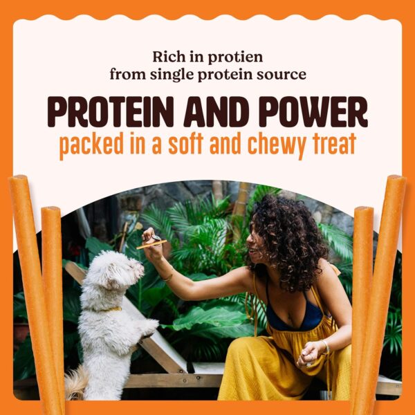Kennel Kitchen Soft Baked Fish Stick Treats for Dogs, 100g (Pack of 1) | Soft Dog Chew Sticks | Dog Treats for Adult Dogs and Puppies