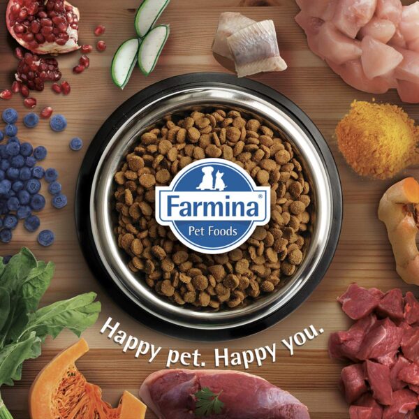 1764000080_81vUrEDw7mL._SL1200_.jpg FARMINA PET FOODS Ancestral Grain Selection Dry Dog Food, Adult Medium & Maxi Breed, 12kg + 3kg Free, Chicken and Pomegranate