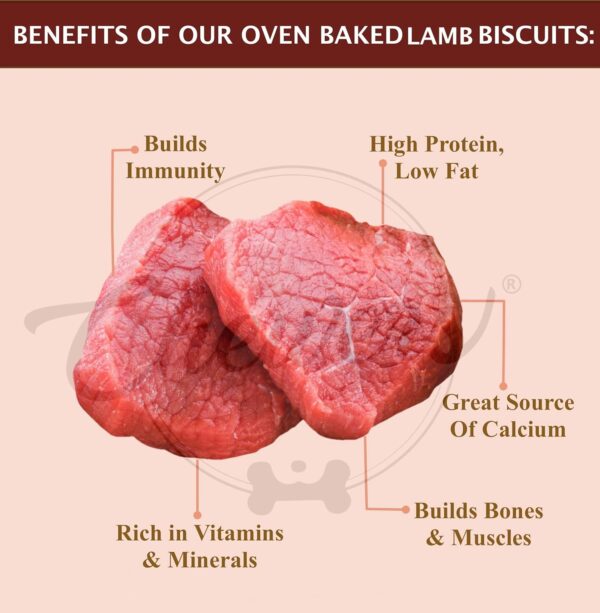 Chewers Oven Baked Real Beef (Buffalo) Dog Biscuits, Beef Flavour, Dog Treat 1 Kg