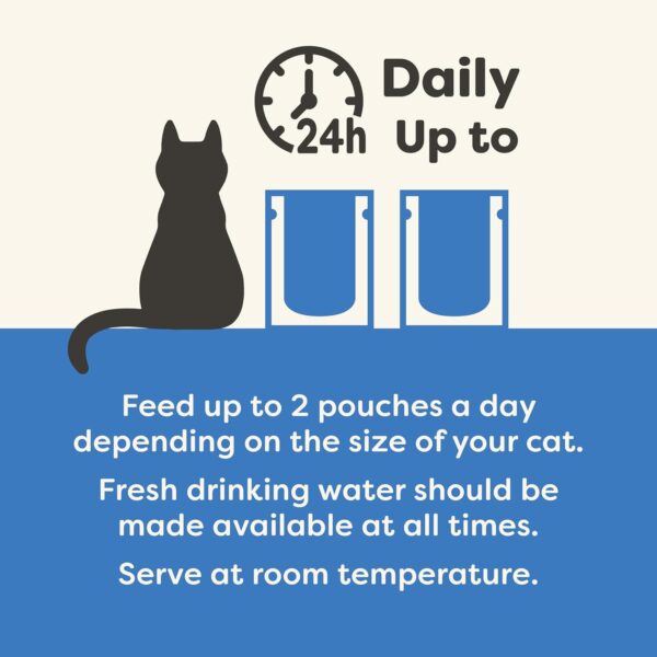 1764020355_611WiAmDYfL._SL1500_.jpg Applaws Natural Premium Wet Cat Food for Adult Cats, Tuna Fillet with Whole Anchovy in Broth Pack of 4 x 70g Pouches