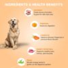 1764028697_61krK85xfL._SL1080_.jpg Benny’s Bowl Fresh and Wet Dog Food Chicken and Pumpkin Recipe High Protein Balanced Daily Nutrition Soft Wet Food for All Breed and Life Stages Grain Free (100 gm X 15 Packs Total 1.5 kg)