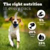 Pedigree PRO Adult Small Breed, 3 kg Dry Dog Food, Vet Trusted Brand, Expert Nutrition, Quality Protein, 33% More Nutrients (9 Months Onwards)