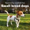 Pedigree PRO Adult Small Breed, 3 kg Dry Dog Food, Vet Trusted Brand, Expert Nutrition, Quality Protein, 33% More Nutrients (9 Months Onwards)