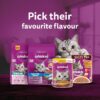 1764056136_81o3fRdztSL._SL1500_.jpg Whiskas Adult (1+ Years) Wet Cat Food, Chicken in Gravy, 80 g (Pack of 14), Hydrating Food Made With Real Chicken, 100% Complete & Balanced Nutrition for Adult Cats
