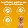 1764090563_716a556RRxL._SL1500_.jpg Pedigree Adult Dry Dog Food, Chicken & Vegetables, 10 kg, Contains 37 Essential Nutrients, 100% Complete & Balanced Food for Adult Dogs