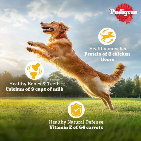 1764090568_81OCPngDkeL._SL1500_.jpg Pedigree Adult Dry Dog Food, Chicken & Vegetables, 10 kg, Contains 37 Essential Nutrients, 100% Complete & Balanced Food for Adult Dogs