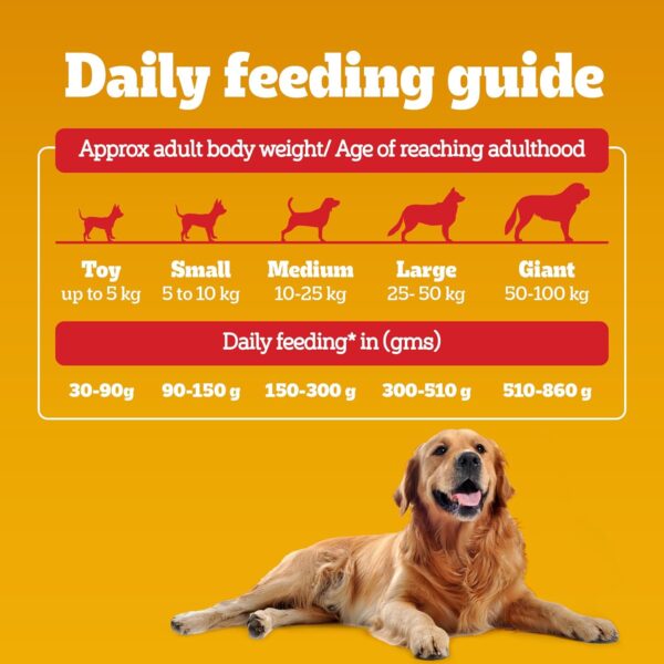 1764090579_71y-mXuQN-L._SL1500_.jpg Pedigree Adult Dry Dog Food, Chicken & Vegetables, 10 kg, Contains 37 Essential Nutrients, 100% Complete & Balanced Food for Adult Dogs