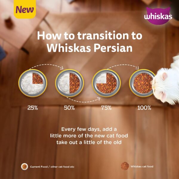 1764094073_61NiMy0uGfL._SL1001_.jpg Whiskas Persian Kitten (2-12 Months) Dry Cat Food, 6.8kg, 100% Complete & Balanced Tailor Made Nutrition, Reduces Hairfall, for Healthy Coat & Skin