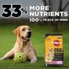 Pedigree PRO Mother & Pup Starter Large Breed, 3 kg Dry Dog Food, Vet Trusted Brand, Expert Nutrition, Quality Protein, 33% More Nutrients (3-12 Weeks)