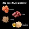 Pedigree PRO Mother & Pup Starter Large Breed, 3 kg Dry Dog Food, Vet Trusted Brand, Expert Nutrition, Quality Protein, 33% More Nutrients (3-12 Weeks)