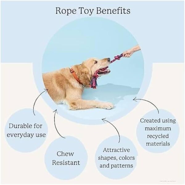 Dog Toy Set - Tail, Chew, and Rope Toys for Small to Medium Dogs - Tug Toy Pack of 8