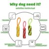 Dog Toy Set - Tail, Chew, and Rope Toys for Small to Medium Dogs - Tug Toy Pack of 8