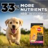 Pedigree PRO Puppy Large Breed, 10 kg Dry Dog Food, Vet Trusted Brand, Expert Nutrition, Quality Protein, 33% More Nutrients (3-18 Months)
