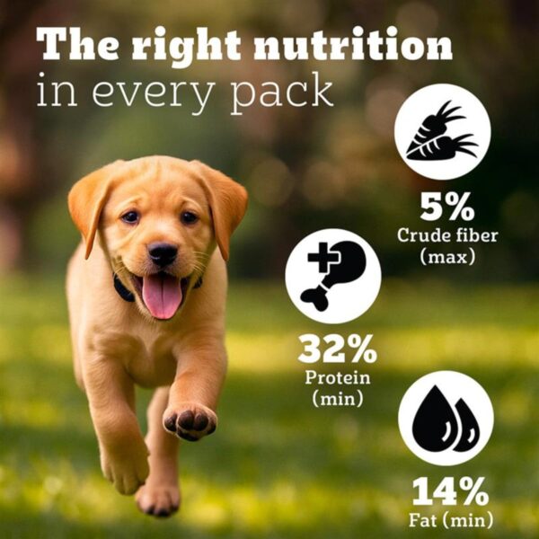 Pedigree PRO Puppy Large Breed, 10 kg Dry Dog Food, Vet Trusted Brand, Expert Nutrition, Quality Protein, 33% More Nutrients (3-18 Months)