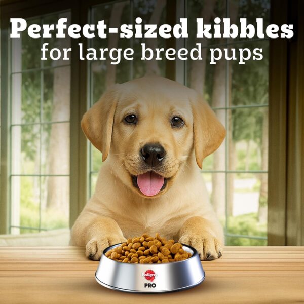 Pedigree PRO Puppy Large Breed, 10 kg Dry Dog Food, Vet Trusted Brand, Expert Nutrition, Quality Protein, 33% More Nutrients (3-18 Months)