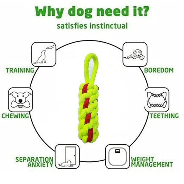 1764538200_61OLR8zw23L._SL1500_.jpg Foodie Puppies 3in1 Dog Chew Cotton Rope Toys Combo for Dogs (2Knot Rope + Corn Stick + Carrot Rope) | Washable Chew Rope Dog Toys for Playing, Teeth Cleaning and Training | for Medium to Large breeds