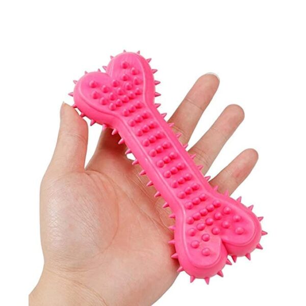 41JpKJteKL.jpg Dog Trust Non-Toxic Rubber Dog Chew Bone Toy, Puppy/Dog Teething Toy (Medium) - 6 Inch