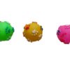 The Pets Company Squeaky Chew Dog/Puppy Toy for Puppies & Small Dogs | Durable, Animal Design,for Playing, Teething and Chewing Combo | Pack of 3 (Duck, Ball & Box) (Color May Vary)