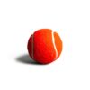 Heads Up For Tails Quintessential Tennis Dog Ball - Set of 2
