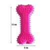 4188XdsLcuL.jpg Dog Trust Non-Toxic Rubber Dog Chew Bone Toy, Puppy/Dog Teething Toy (Medium) - 6 Inch