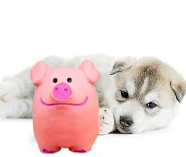 41FPBZnRDqL.jpg PETS EMPIRE Pet Chew Rubber Squeaky Pig, Latex Squeaky Toys, Pet Chew Piggy, Flexible Piggy Sound Dog Toys, Funny Dogs Chewy Toy, Interactive Teething Toy for Dogs, Pups, Puppies - Pack of 2