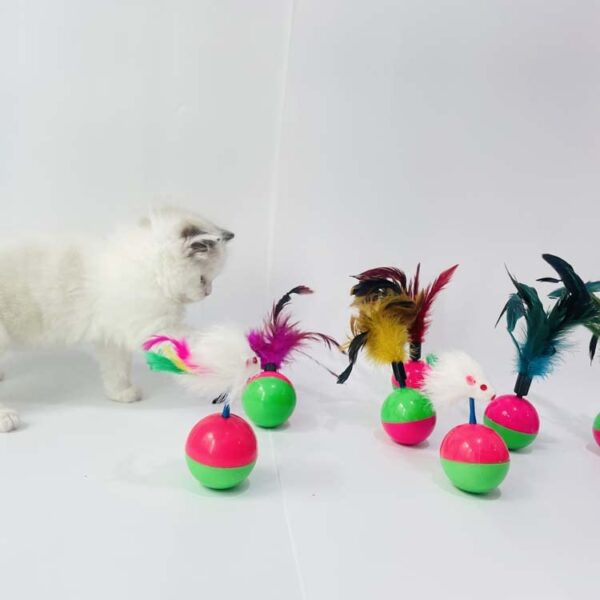 41bdMtm9NgL.jpg PETS EMPIRE Feather Tumbler Cat Ball Toy, Whirl Cats Ball Tumbler, Interactive Feathers Pet Toys, Kitten Wobble Training Balls, Colourful Cat Feather Toys for Cats, Kittens - 1N (Color May Vary)