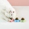 Sunkizzrs® Catnip Toy (1 Pcs) Catnip Balls Catnip Wall Toys for Cats Rotatable Edible Mint Natural Healthy Teeth Cleaning Chew Claw Toy for Cat/Kitten (Green)