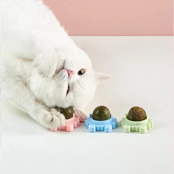 Sunkizzrs® Catnip Toy (1 Pcs) Catnip Balls Catnip Wall Toys for Cats Rotatable Edible Mint Natural Healthy Teeth Cleaning Chew Claw Toy for Cat/Kitten (Green)