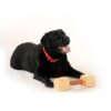 41cvytIDgdL.jpg RvPaws Wooden Dumbbell Chew Toy, 100% Natural Wood Training Toy for Dogs and Puppies - Keeps Teeth and Gums Healthy Oral Care